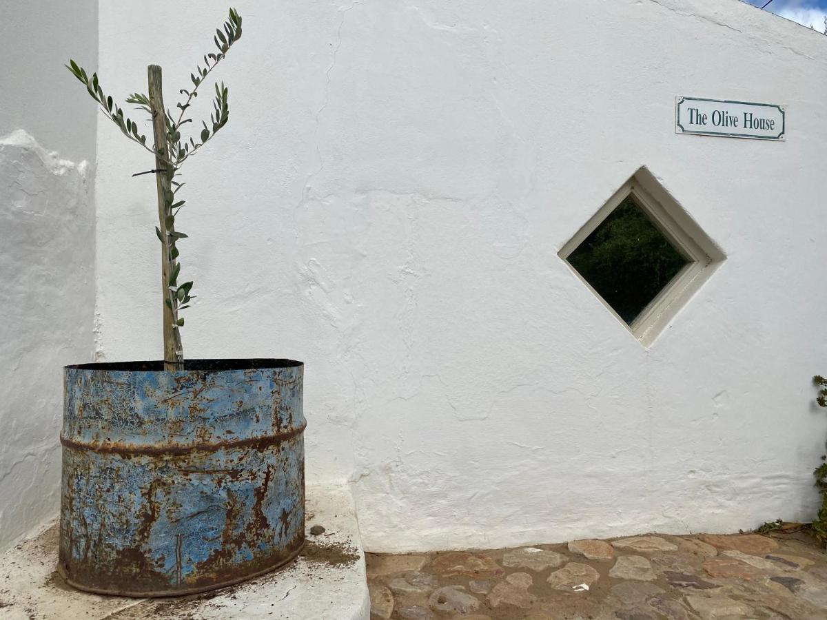 The Olive House, Prince Albert Eksteriør bilde