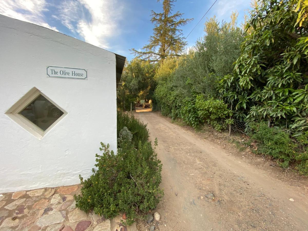 The Olive House, Prince Albert Eksteriør bilde