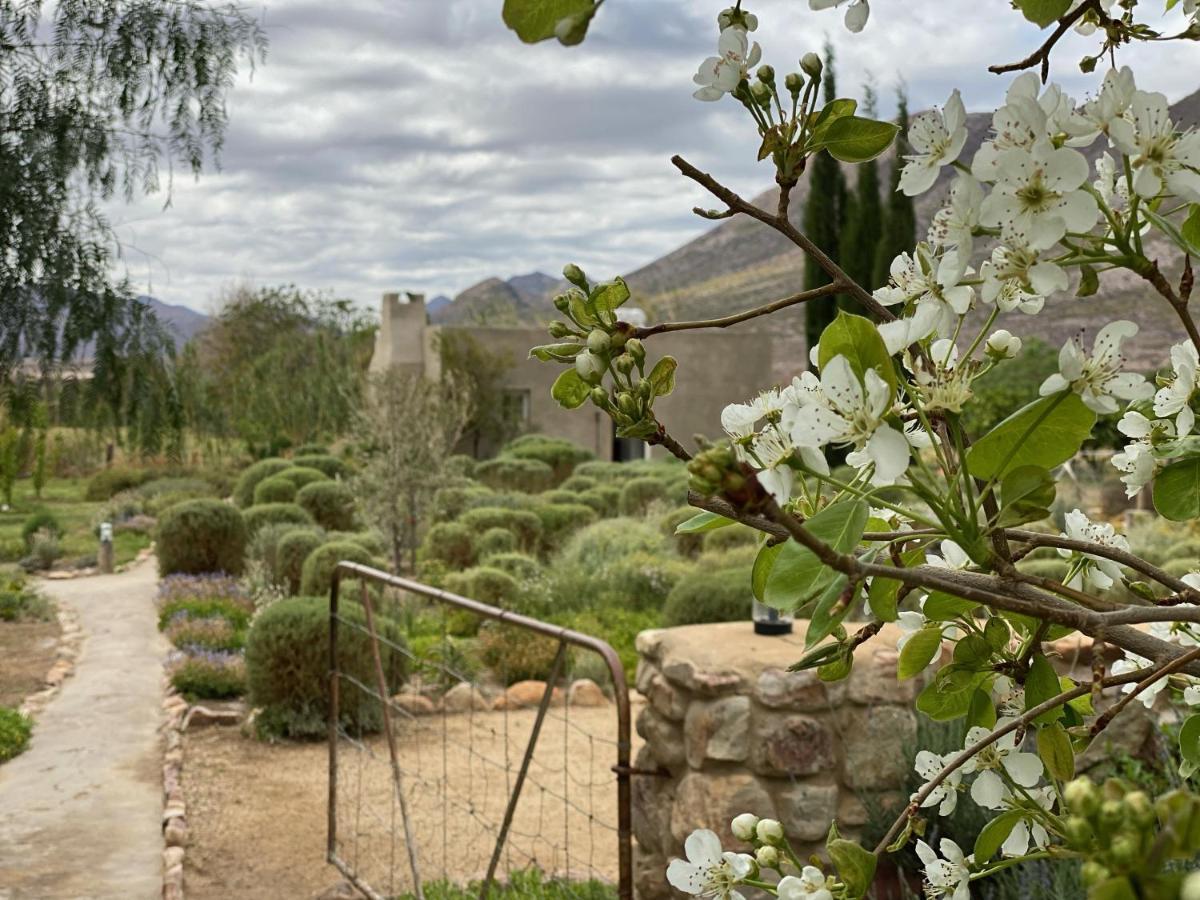 The Olive House, Prince Albert Eksteriør bilde